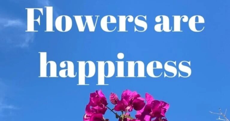Flower and Plant Instagram Captions