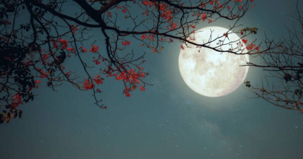 Moon Year Captions