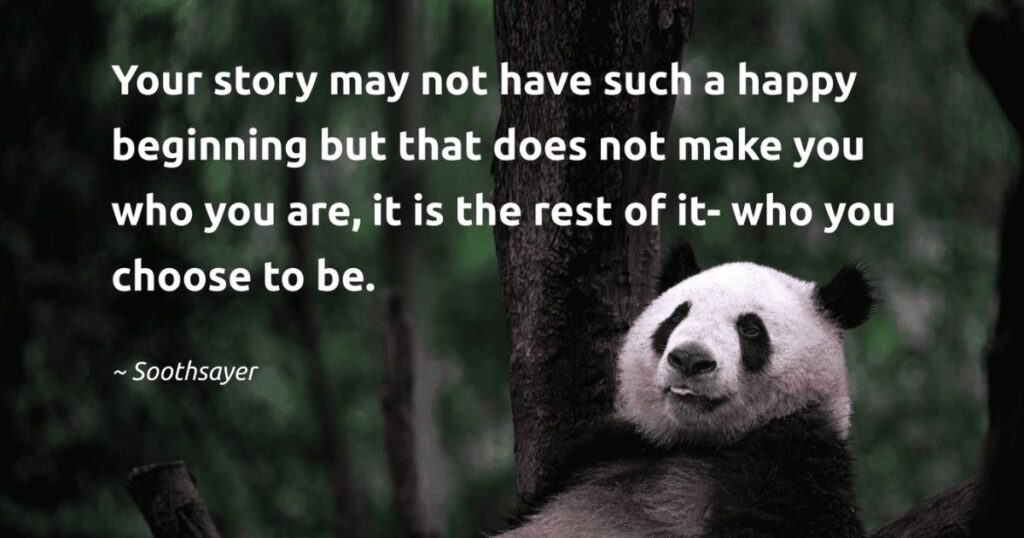Best Panda Captions & Quotes