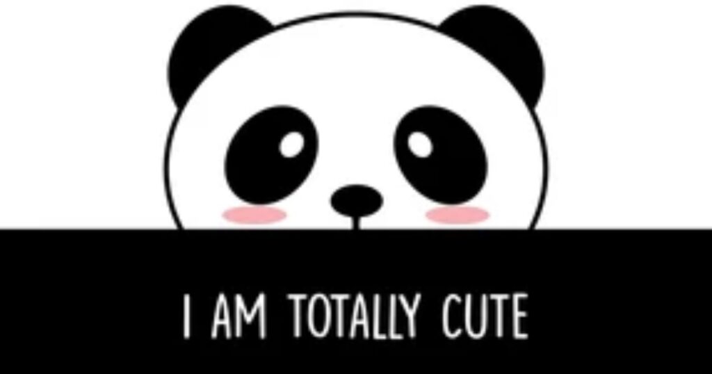 Panda Lover Quotes