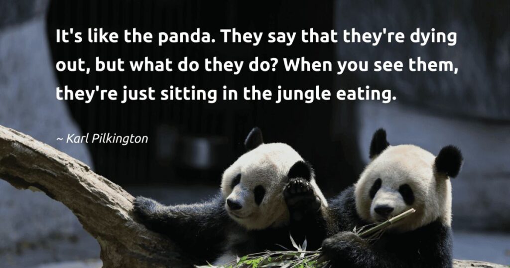 Captions For Panda Pictures