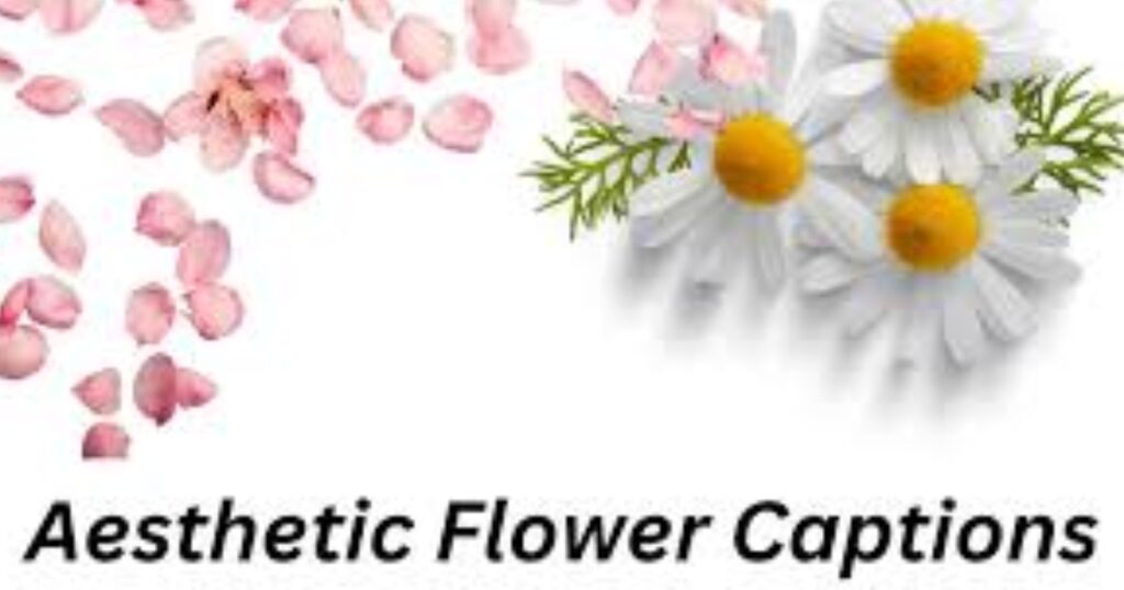 Aesthetic Flower Captions For Instagram