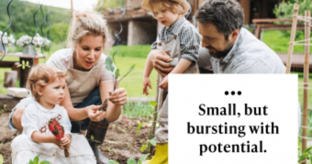 Houseplant Instagram Captions