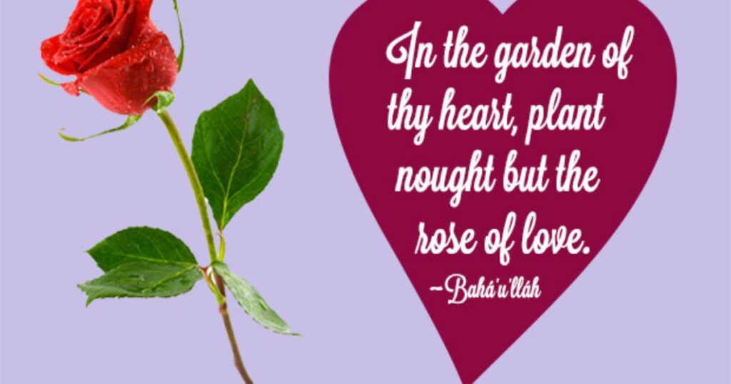 Quotes About Roses and Love