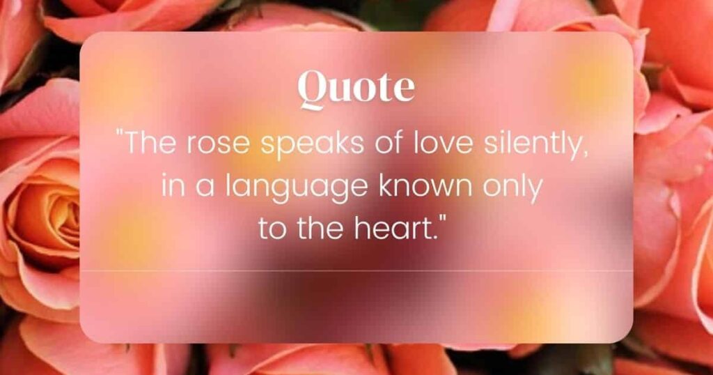 quotes about roses