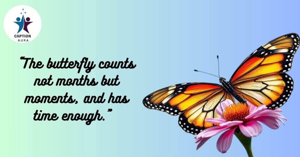 Be Like A Butterfly Quotes