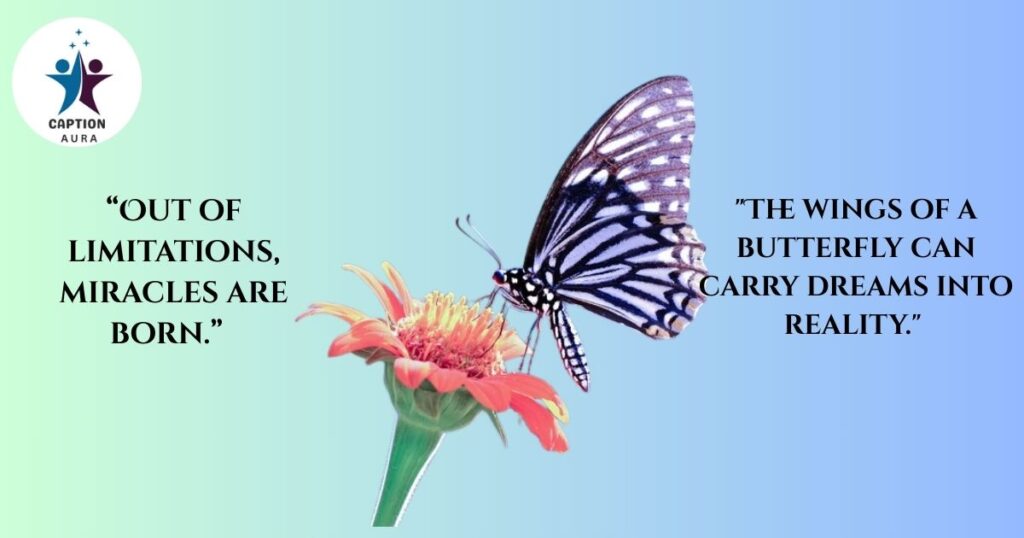 Beautiful Butterfly Quotes