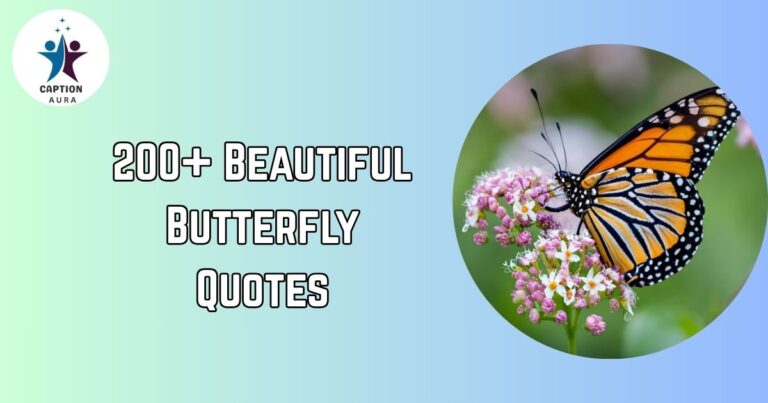 Butterfly Quotes