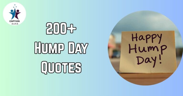 Hump Day Quotes