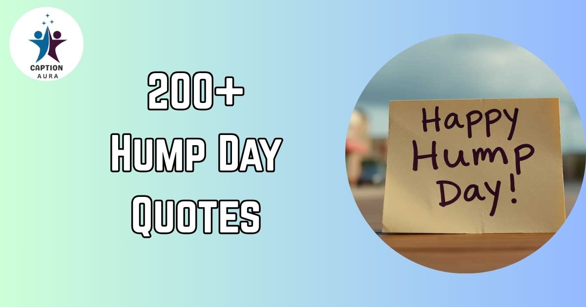 Hump Day Quotes