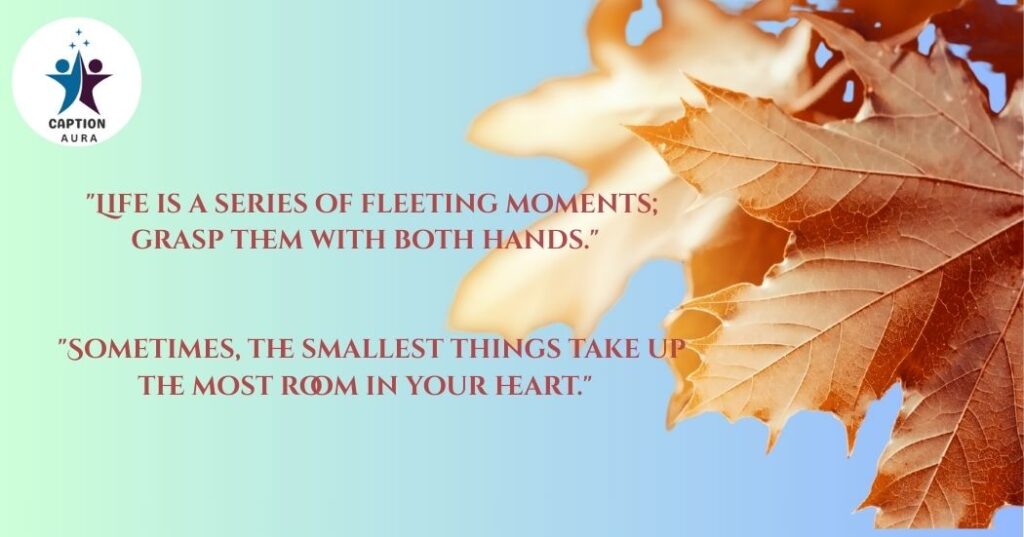 Positive Quotes About Life’s Temporary Moments