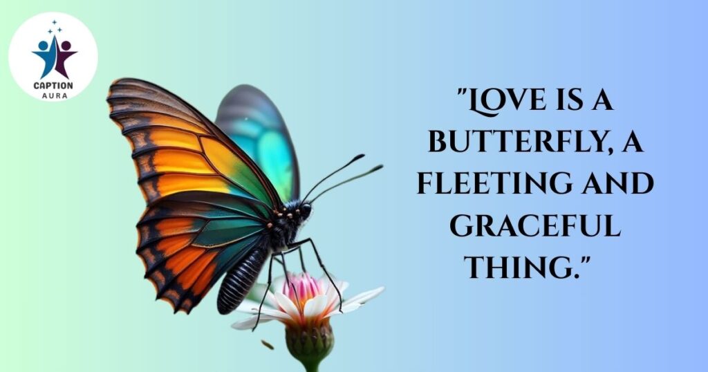 Romantic Quotes About Butterfly