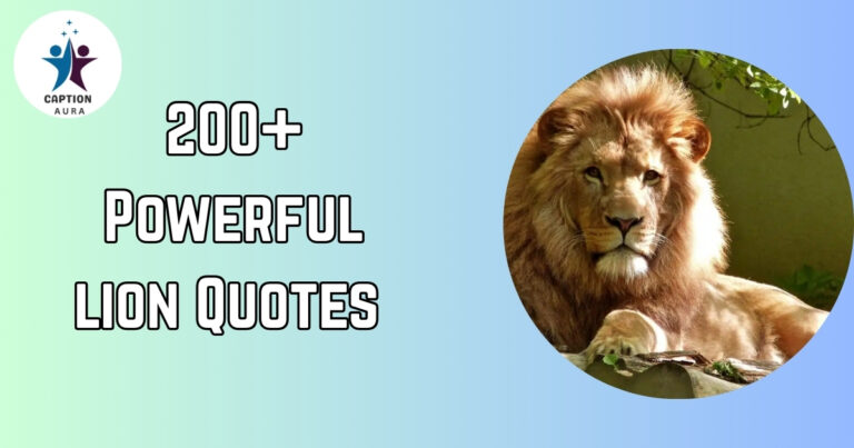 powerful lion quotes