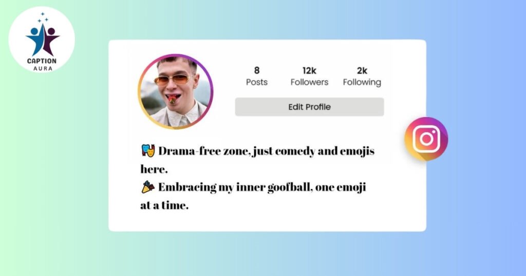 Funny Instagram Bio Ideas