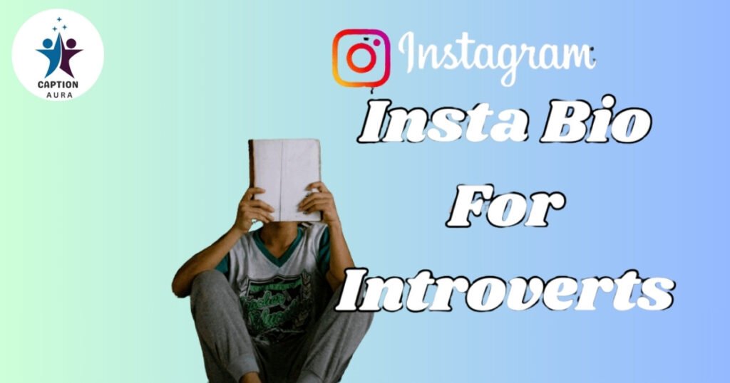 Insta bio for introvert