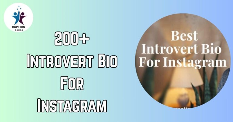 Introvert Bio For Instagram