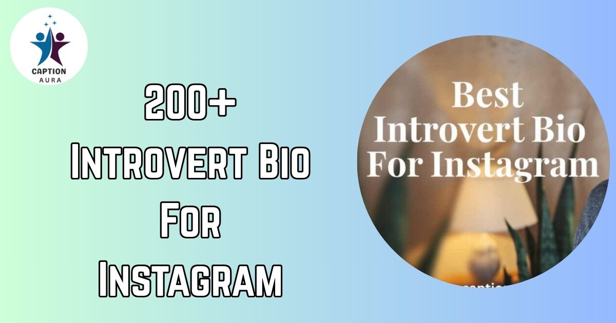 Introvert Bio For Instagram