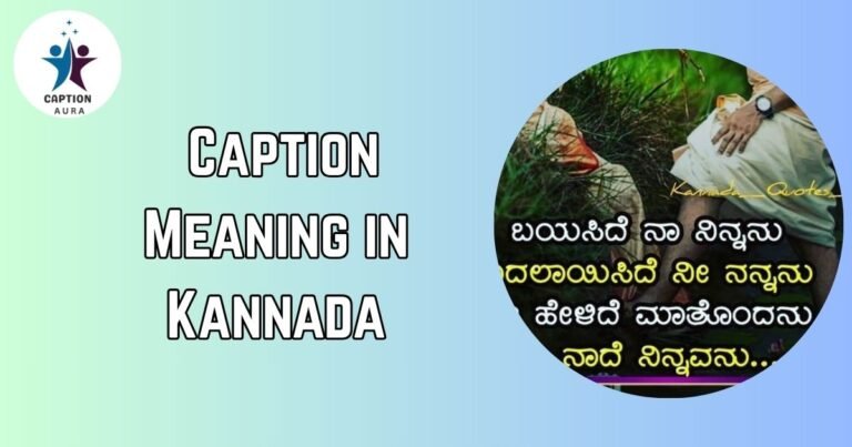 Caption Meaning in Kannada